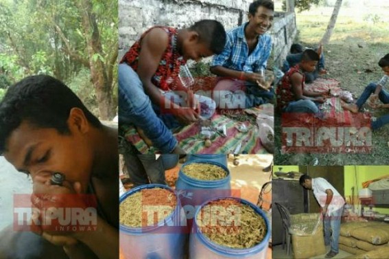 Intoxicated Tripura : Massive Ganja, Drug, Chorex, business remained unchecked at Dharmanagar Botorashi area Intoxicated Tripura : Massive Ganja, Drug, Chorex, business remained unchecked at Dharmanagar Botorashi area